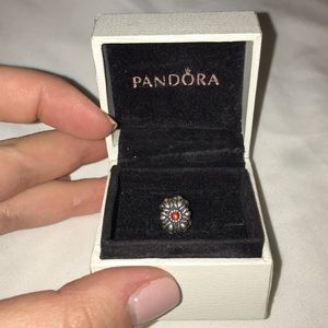 January Birthstone Pandora Charm